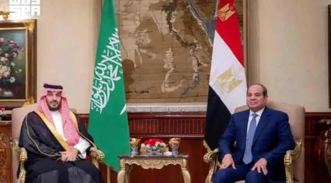 لقاء سعودي-مصري: ولي العهد والسيسي يؤكدان أمن المل...