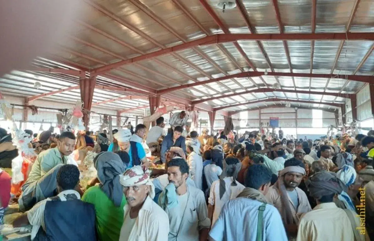 الساحل الغربي .. ‏تحت الارهاب الحوثي والمصائب لا ت...
