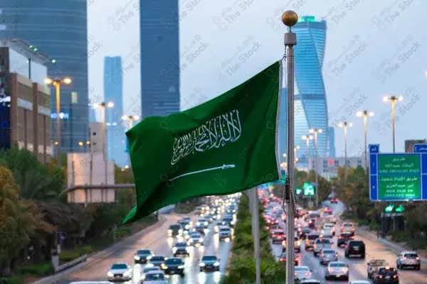 تحرك سعودي عقب سيطرة الحوثي على باب المندب