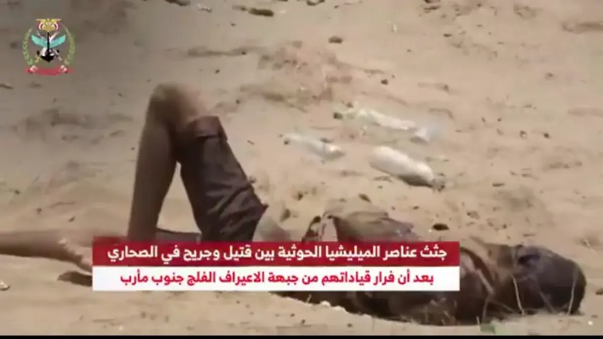 تسجيل عسكري يوثق قتلى وجرحى حوثيين في جبهات مأرب ا...