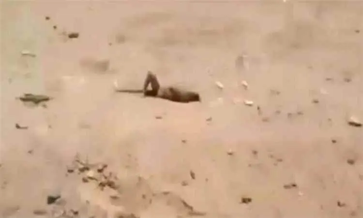 الحوثيون يتركون جرحاهم وجثث قتلاهم في مواقع المواج...