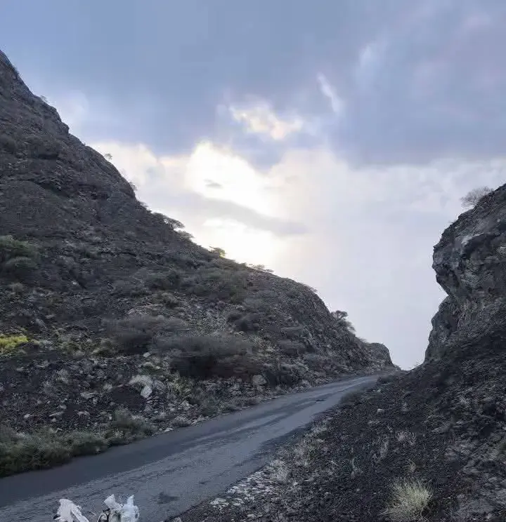 اشتباكات عنيفة في جبهة المنصورة بالمضاربة بين قبائ...