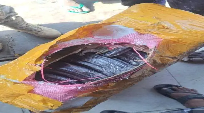 عاجل | أمن تعز يكشف تهريب خلايا حوثية نائمة عبر شحنات قات
