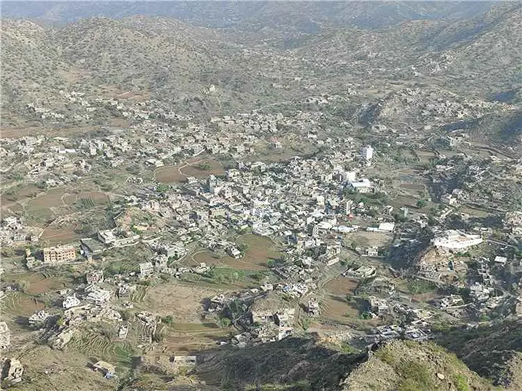السلطة المحلية بيافع رُصُد تشرف على توزيع الغاز ال...