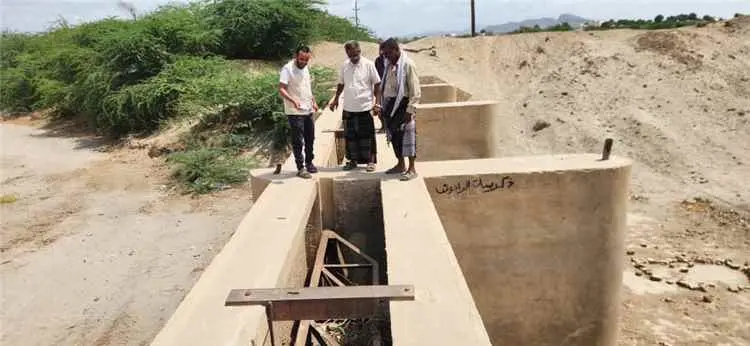 بتوجيهات المحافظ الرباش .. مدير عام الزراعة والري...