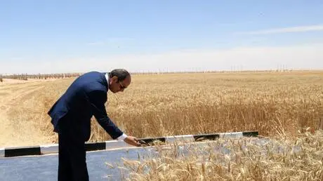 هل تهدد الحرب غذاء المصريين؟.. وزير التموين يحسم ا...