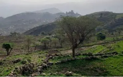 الأرصاد: تراجع الأمطار حتى نهاية سبتمبر