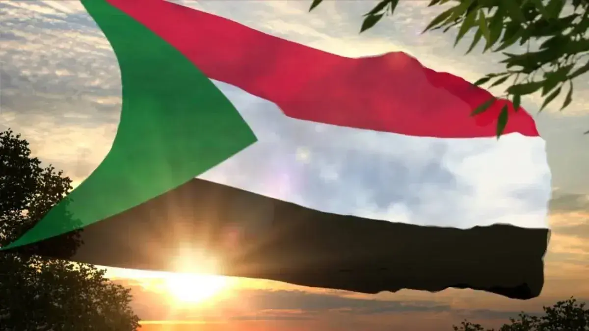 الجيش السوداني يكثف عملياته ضد الدعم السريع شمال ك...