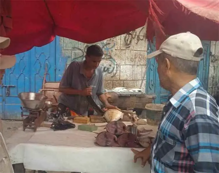 "صناعة التواهي" بعدن يُنفّذ حملة رقابية واسعة تشمل 9 مناطق وشوارع رئيسية لمراقبة الأسعار وضبط الأسواق