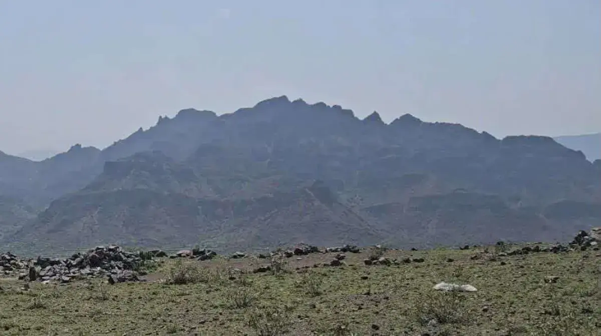 قبضة الجيش تقرع مواقع المليشيا في البيضاء وتُسقط م...