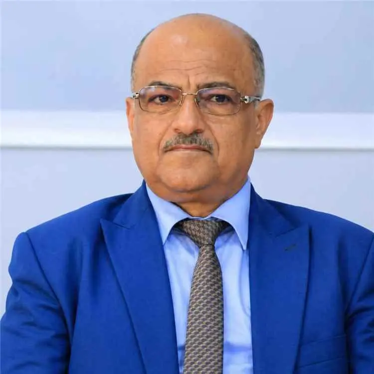 علي الذهب: السيطرة على المرتفعات تمهّد للقوات المس...