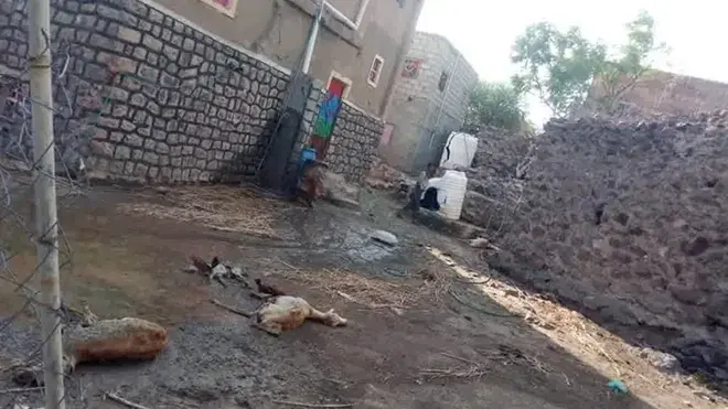لحج.. السلطة المحلية تدين استهداف مليشيات الحوثي مدرسة تؤوي نازحين في المضاربة