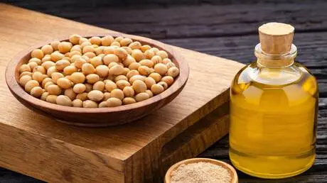 دراسة تربط بين استهلاك زيت الصويا وارتفاع خطر الإص...