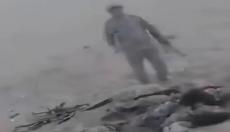 نداء إنساني عاجل لانتشال جثامين قتلى الحوثيين في م...