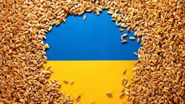 تراجع صادرات أوكرانيا الأسبوعية من الحبوب بنسبة 9%