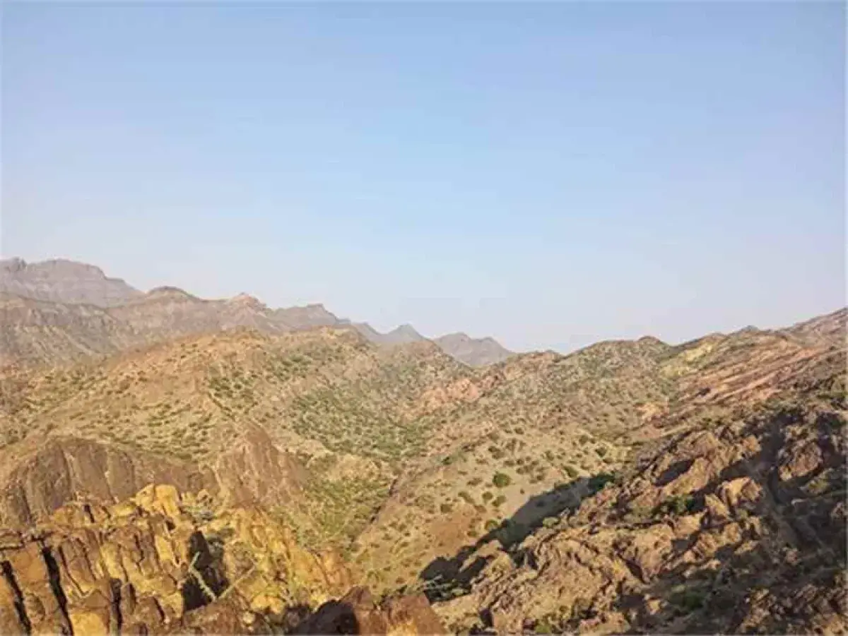 غارات جوية تضرب تعزيزات حوثية قبل وصولها إلى جبهات...