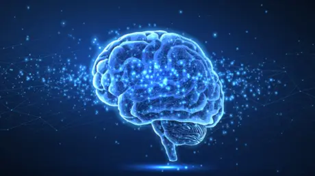 3 نباتات طبية قد تحسّن الذاكرة والوظائف الإدراكية...