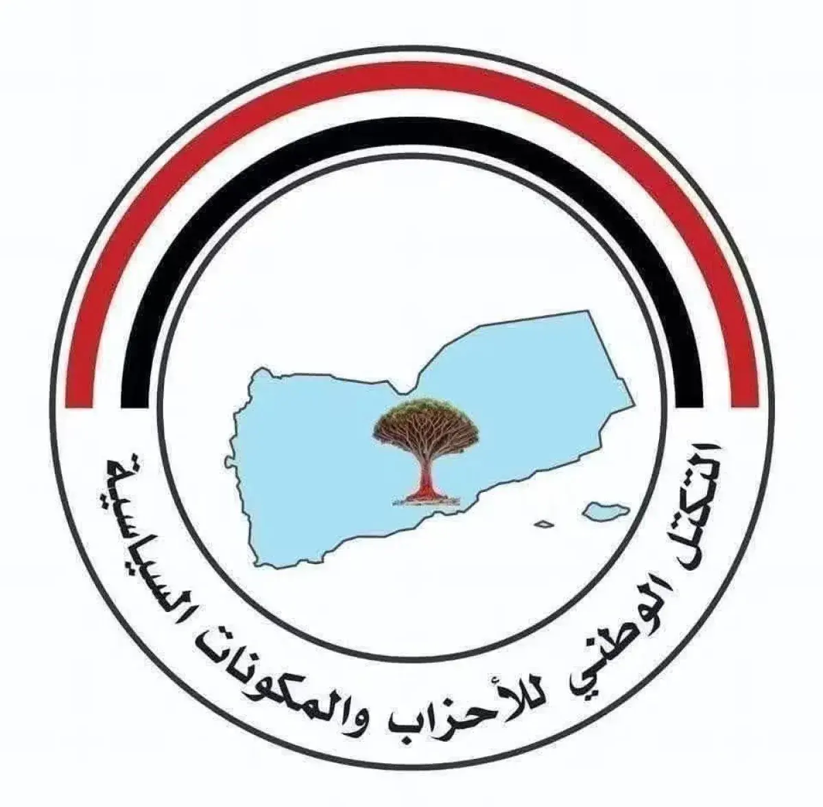 التكتل الوطني يؤسس لجنة إعلامية لتوحيد الخطاب ودعم...