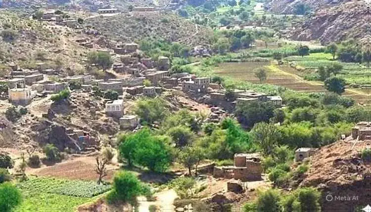مليشيا الحوثي تواصل استهداف الأعيان الدينية والمقابر بقصف مدفعي على منطقة تورصة بالأزارق