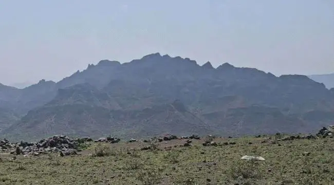 جريمة مروعة غربي تعز.. مقتل أم وإصابة طفلها بقصف استهدف خيمة نازحين في الوازعية.