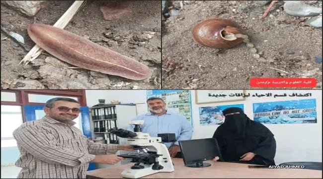 لأول مرة في السهل الجنوبي لليمن.. فريق بحثي بجامعة...