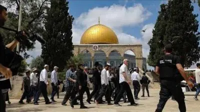 الاحتلال يغلق باب المغاربة بعد اقتحام 1731 مستعمرا...