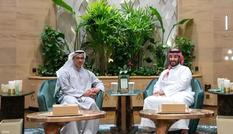 منصور بن زايد وولي عهد السعودية يبحثان العلاقات ال...