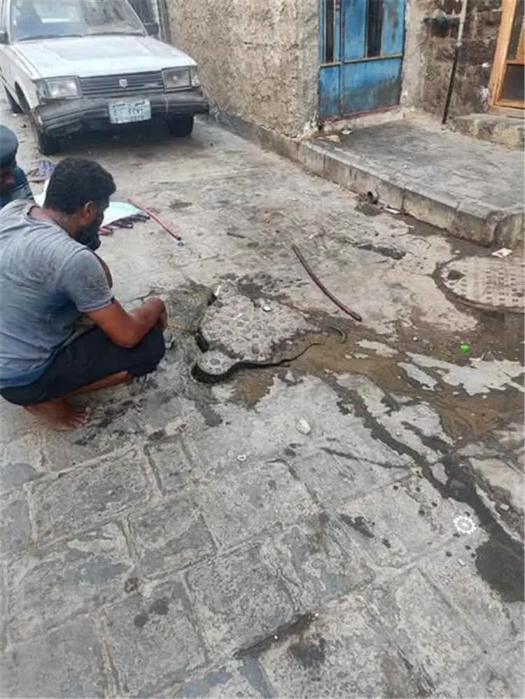 تحسين خدمات الصرف الصحي في مديرية التواهي