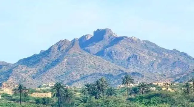 عاجل| قبل سقوط الصبيحة.. مناشدة لتحريك الجبهات الأخرى وإرباك الحوثيين