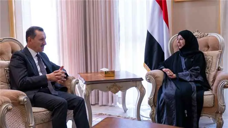 وزيرة الخارجية تبحث مع القائم بالأعمال التركي مستج...
