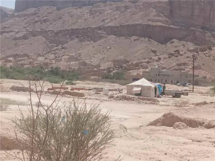 ناشطون يطالبون بإبعاد خلايا النحل عن الخط العام وا...