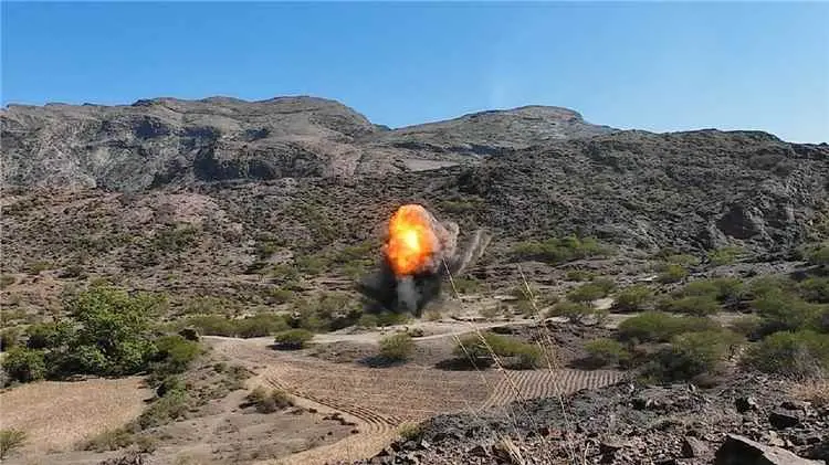 مسام يتلف 299 قطعة من الألغام في الضالع وتطهير 30...