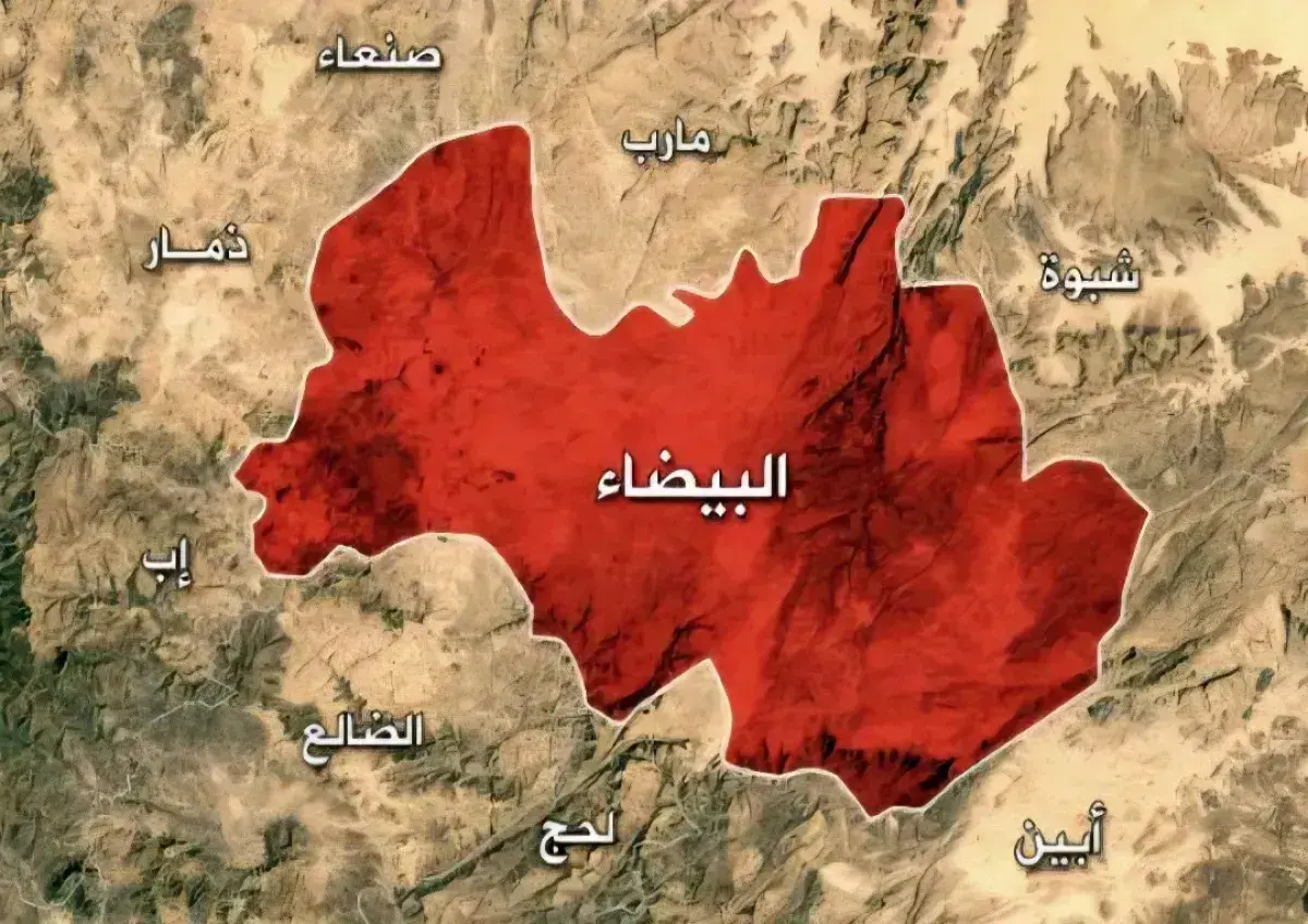 في البيضاء.. أمين محلي رداع يتهم قيادات حوثية بمحا...