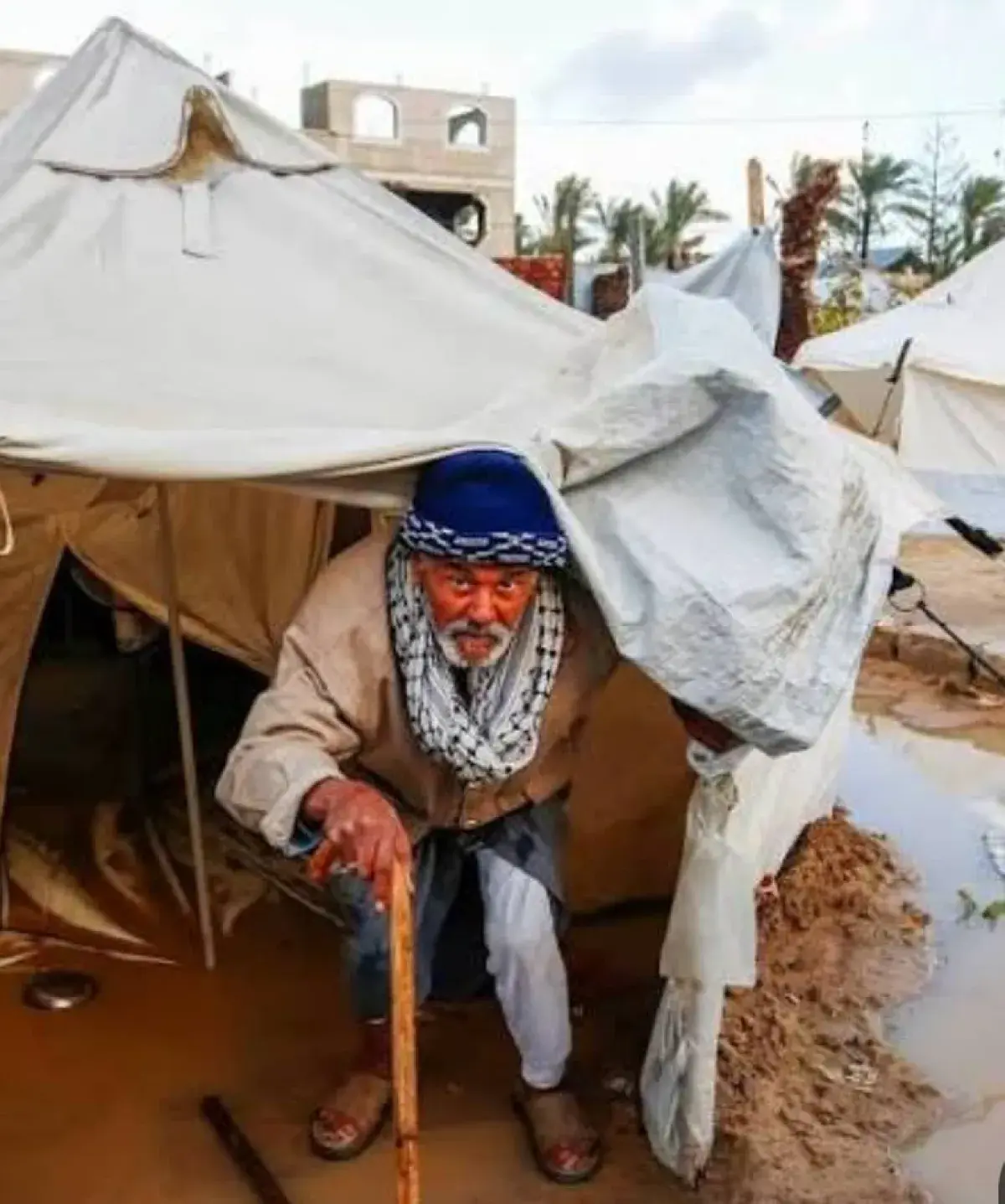 الحوثي يقتحم مكتب منظمة "فور هيومن" في الخوخة وينه...
