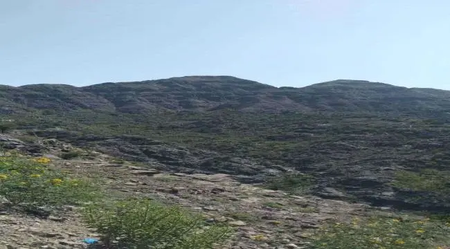 معارك عنيفة في الأقروض بتعز ومحاولة حوثية للالتفاف...
