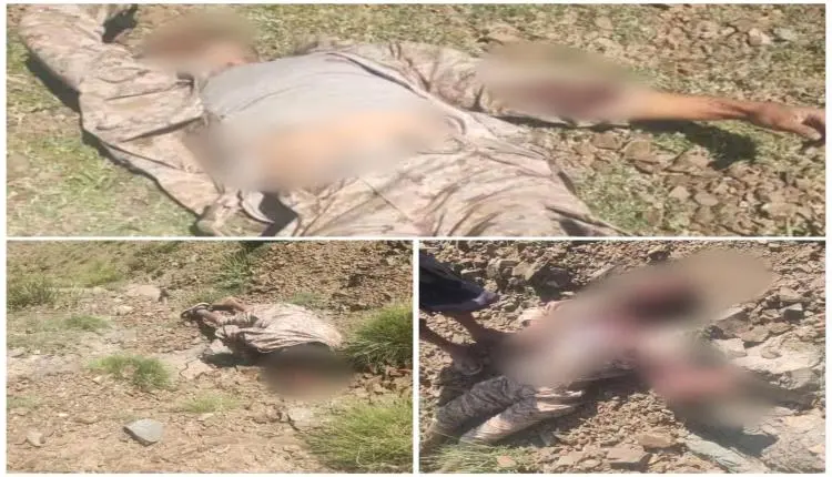 القوات الحكومية تكشف تفاصيل مجزرة كبيرة تعرض لها الحوثيين في جبهات تعز