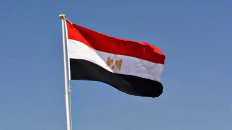 بينهم ابنة الشاطر.. مصر تدرج 16 شخصا على قوائم الإ...