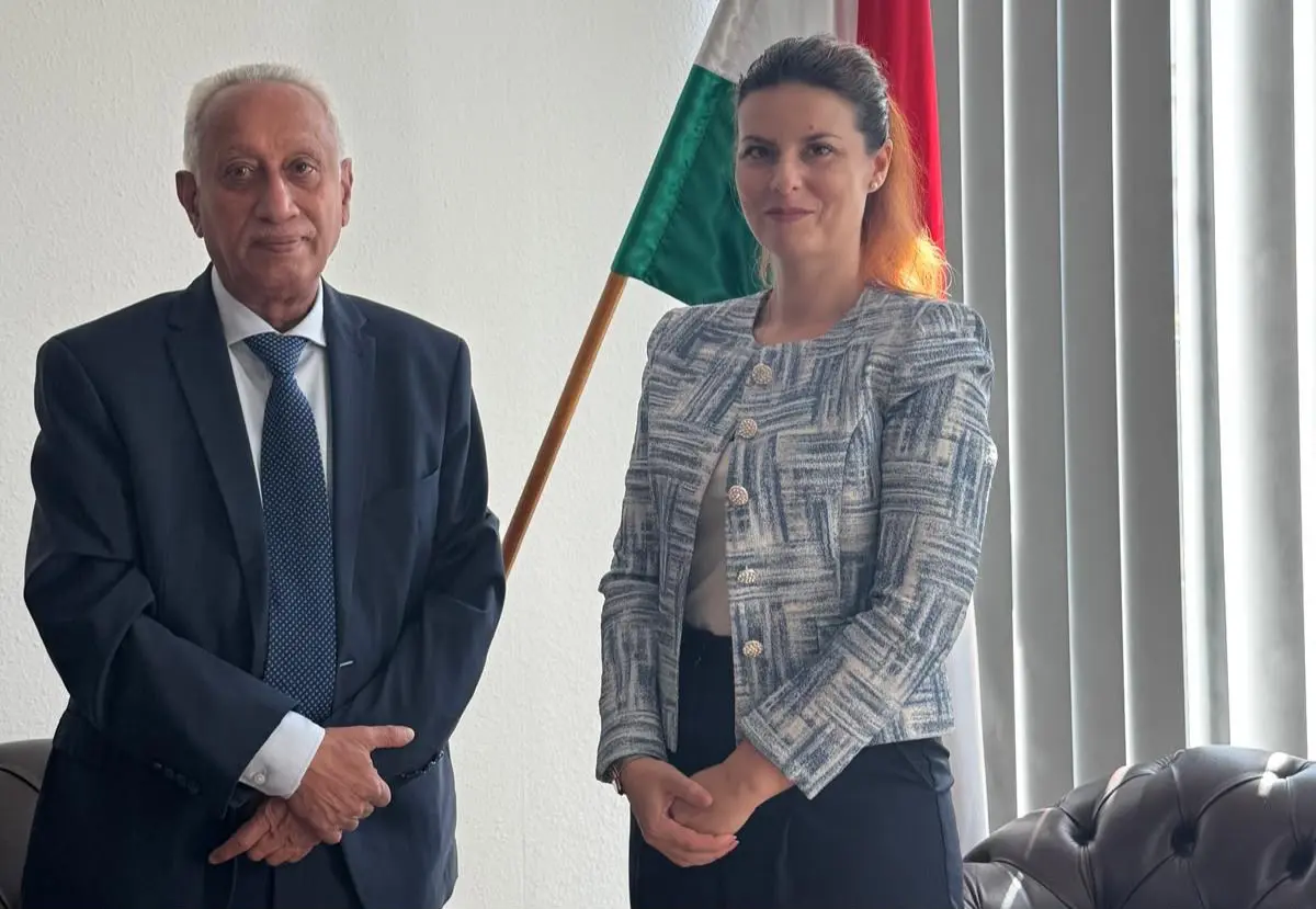 السفير أحمد ناجي يبحث مع مسؤولة مجرية سبل دعم اليم...