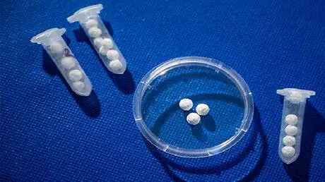 روسيا.. ابتكار حبيبات لترميم العظام تجمع بين تعزيز...