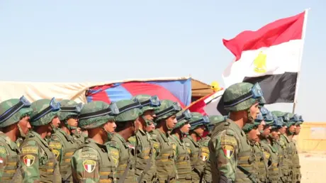 وزير الخارجية المصري: قدمنا دعما عسكريا لدول خليجي...