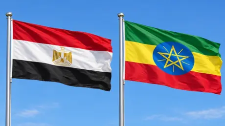 مصر ترد رسميا على مزاعم إثيوبيا بدعمها جماعات داخل...