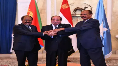 رسائل لإسرائيل وإثيوبيا.. ما مخرجات قمة العلمين بي...
