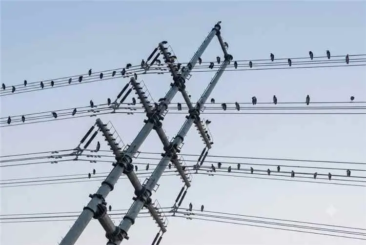 عودة جميع المحطات للخدمة بعد معالجة خلل فني بخط نقل 132 ك.ف الحسوة–المنصورة