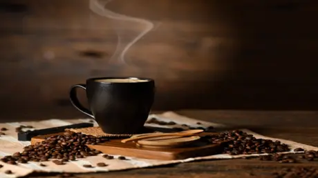 سيراليون تعرض تأجير أراضٍ لروسيا للاستثمار في زراع...
