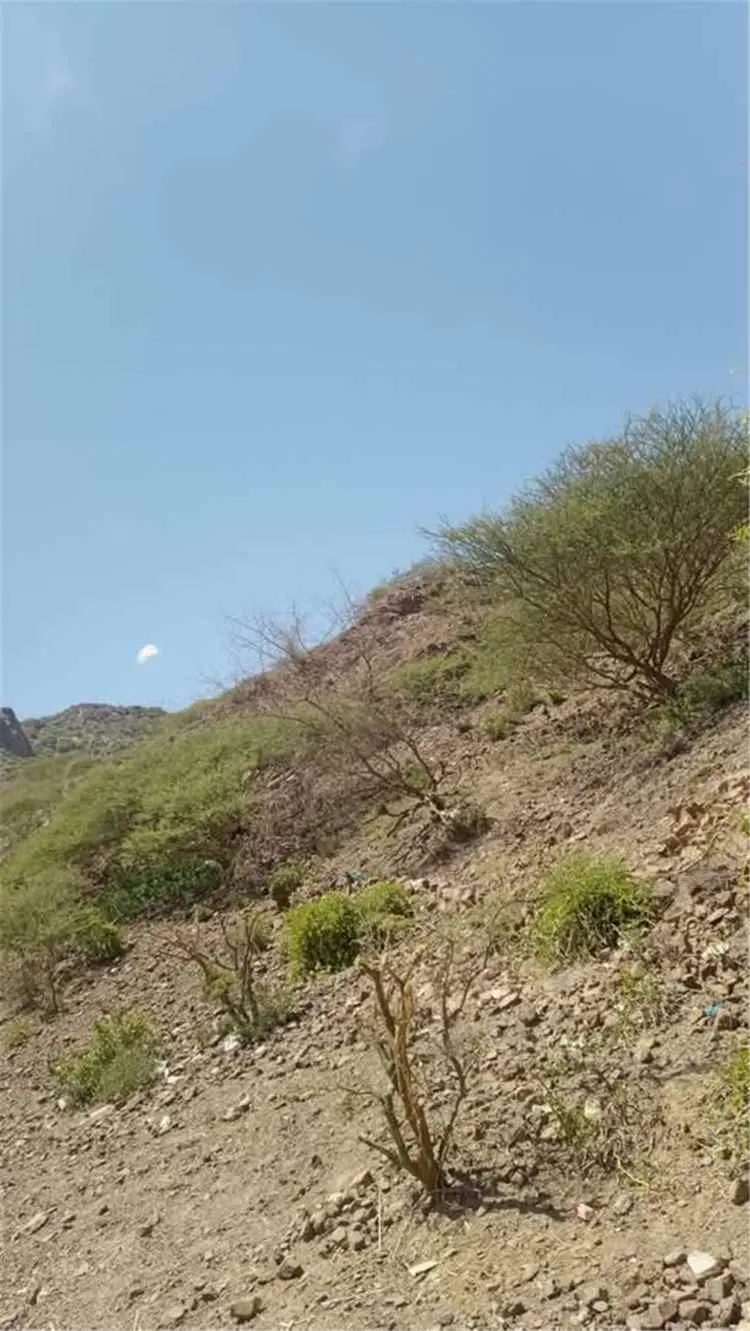عاجل.. تقدم ميداني والسيطرة على عدة مواقع حوثية في...