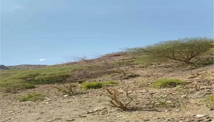 إنجاز ميداني جديد: القوات الجنوبية تحكم سيطرتها ال...