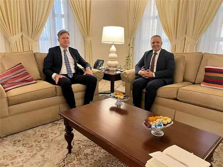 وزير الشؤون الاجتماعية يبحث مع القائم بأعمال السفي...