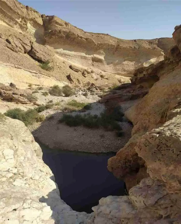 شبوة تتحرك لحماية مخزونها المائي.. لجنتان ميدانيتان لمواجهة الحفر العشوائي واستنزاف الآبار