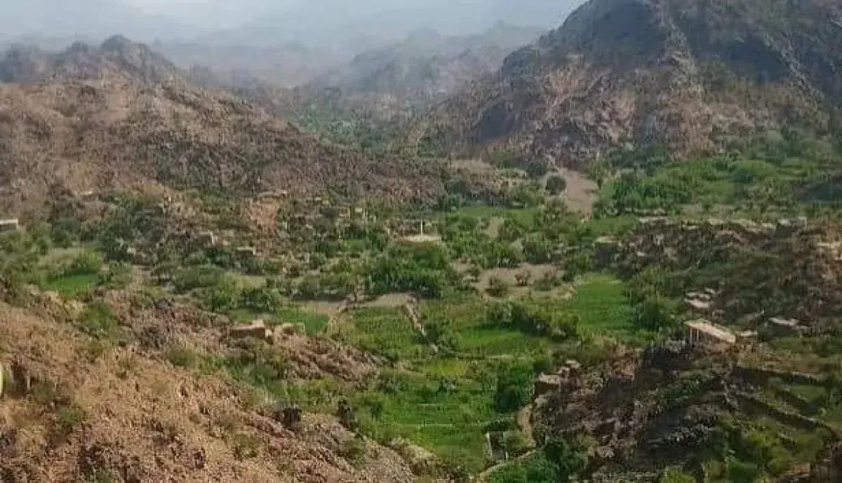 استشهاد وإصابة 3 مدنيين بقصف حوثي استهدف مزرعة في...