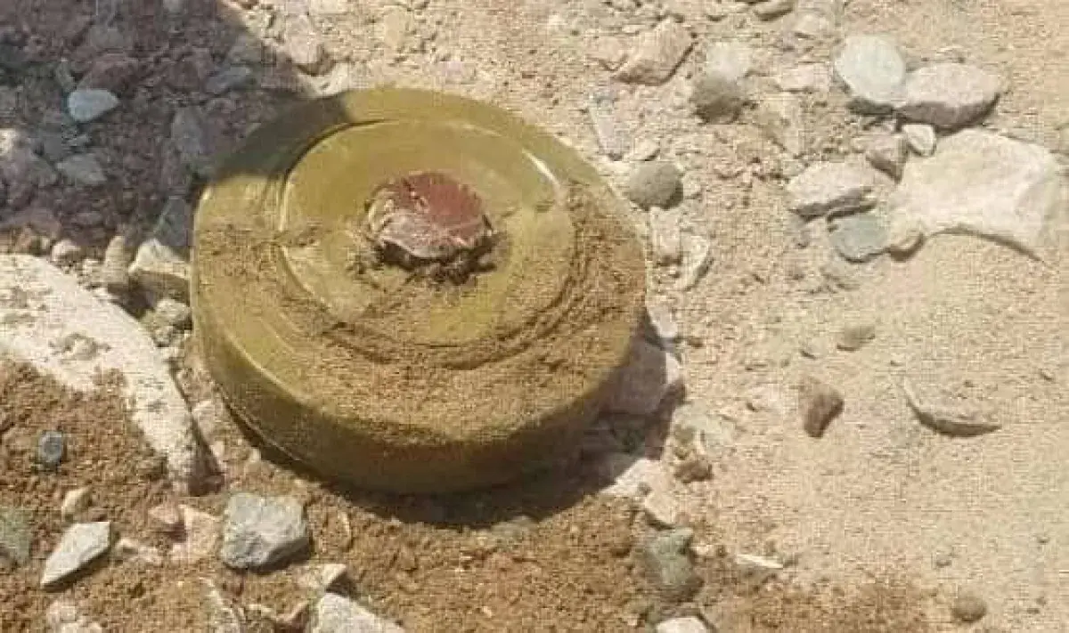 مقتل طفل بانفجار لغم حوثي في الجراحي جنوبي الحديدة